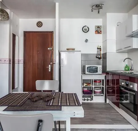 Rose Du Sud Apartment Nice